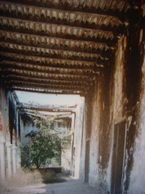 dsc04271