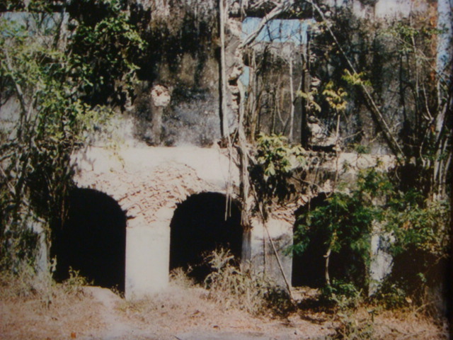 dsc04274