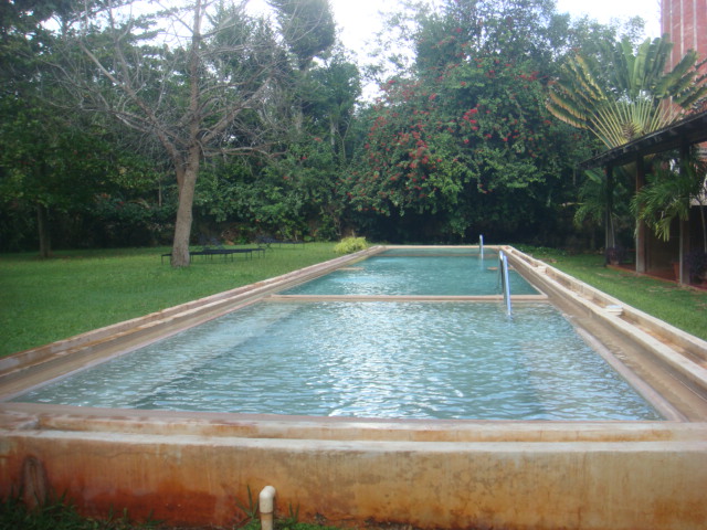 dsc04283