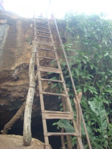 The image shows a makeshift wooden ladder leaning against a rocky cliff. The ladder appears to be constructed from uneven wooden planks and branches. There is greenery, including plants and vines, growing on the cliffside around the ladder. The top of the ladder extends out of the frame, suggesting it leads to a higher point on the cliff.