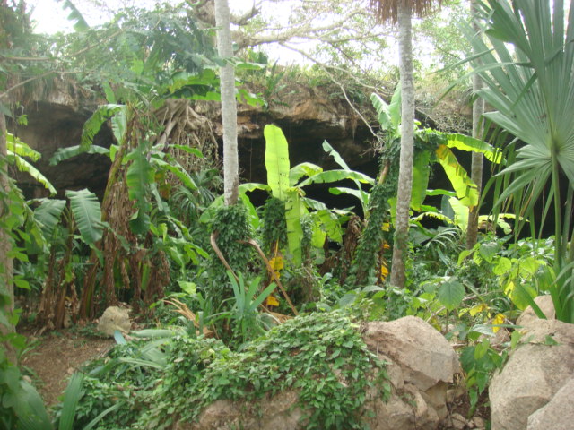 A Wild Stay And $5,000 Upgrade At The 7-Star Burj Al Arab