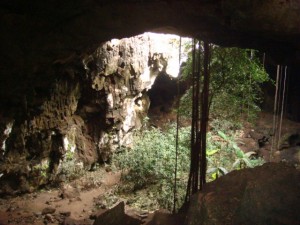 The image shows the interior of a cave with an opening that allows natural light to enter. The cave has rocky walls and a dirt floor, with some vegetation growing inside, including plants and vines hanging from the ceiling. The light from the opening illuminates part of the cave, highlighting the textures of the rocks and the greenery.
