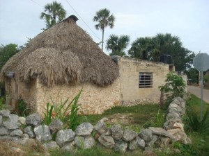 The image shows a rustic building with a thatched roof made of straw or palm leaves. The walls of the building appear to be made of stone or concrete blocks. There is a stone wall in the foreground, and some greenery, including plants and trees, surrounding the building. In the background, there are more trees and a clear sky. A road is visible to the right of the building.