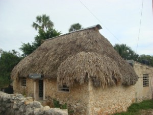The image shows a small, rustic house with a thatched roof made of dried grass or palm leaves. The walls of the house are constructed from stone or adobe. There are a few small windows with bars and a wooden door. Surrounding the house are some trees and greenery, and a stone wall is visible in the foreground. The sky is overcast.