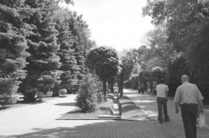 a man walking on a path