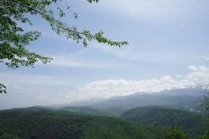 a view of a valley with mountains in the background
