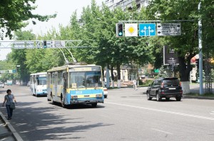 The image shows a city street with vehicles and pedestrians. There is a blue and yellow trolleybus in the center of the road, followed by another bus. A black car is driving in the adjacent lane. A pedestrian is walking on the sidewalk to the left. The street is lined with trees and there are traffic signs and signals overhead. The weather appears to be clear and sunny.