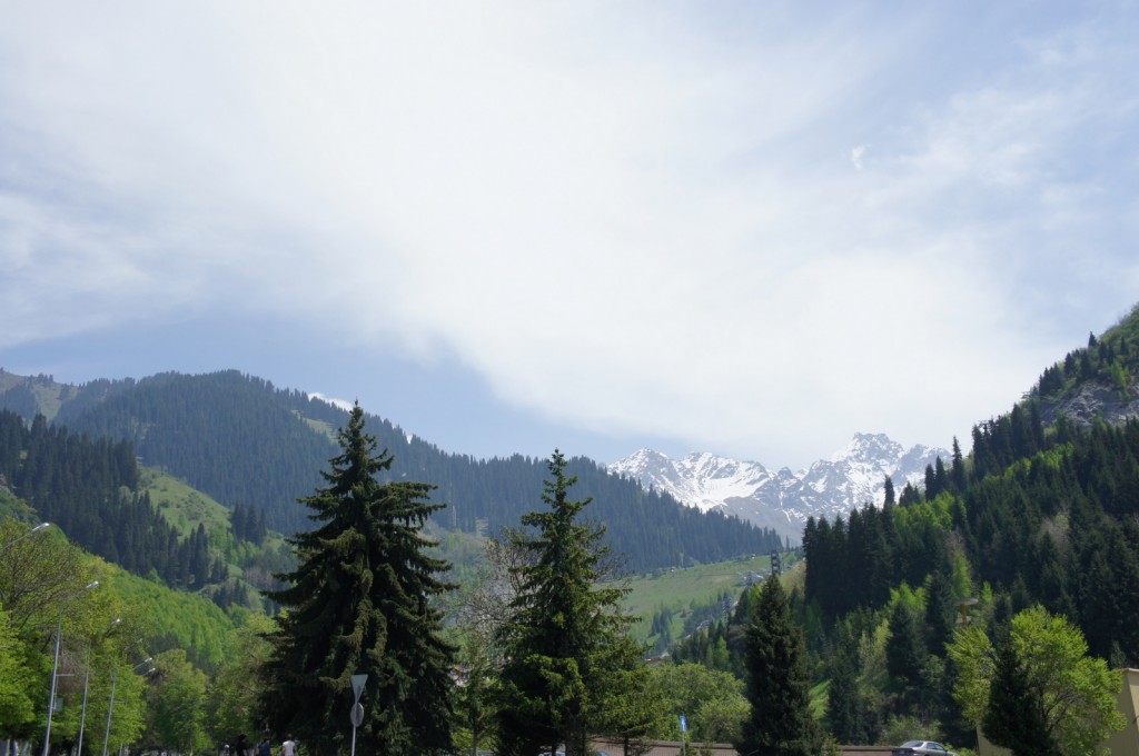 a landscape of a mountain range with trees and snow