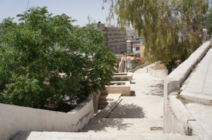 a long shot of a path