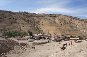 a horse and people in a desert