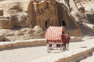 a horse pulling a cart
