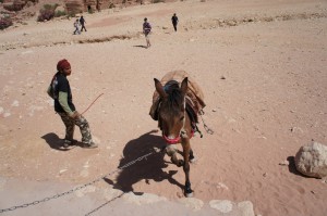 a man walking a donkey in the desert