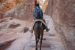a person riding a horse