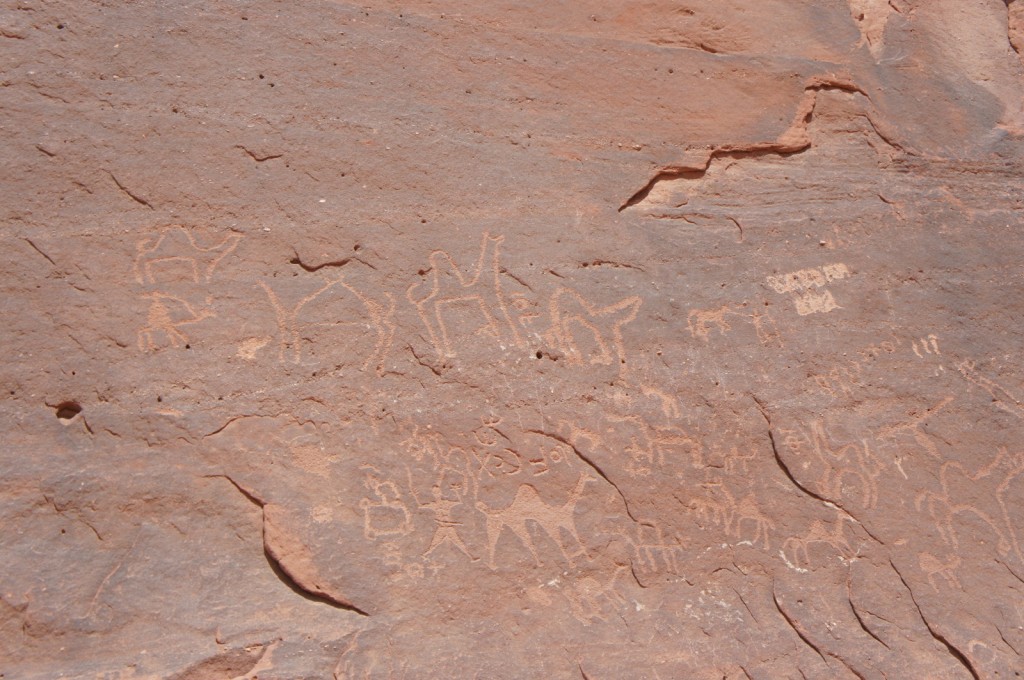The image shows ancient petroglyphs carved into a reddish-brown rock surface. The carvings depict various animals, including camels and other quadrupeds, as well as human figures. The petroglyphs are etched in a lighter color, standing out against the darker rock background. The rock surface appears weathered and uneven, with some cracks and crevices.