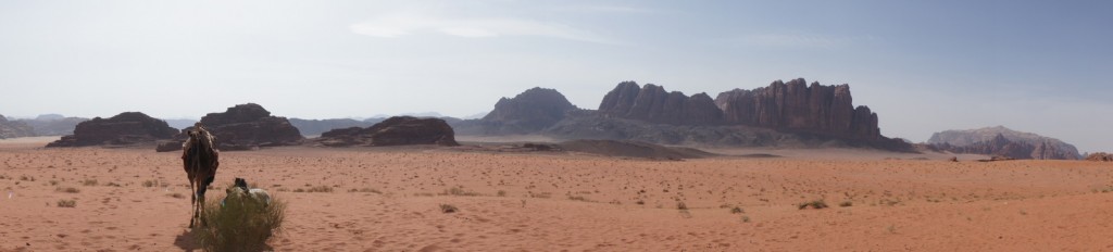 A panoramic view of a desert landscape with a camel standing near a small bush in the foreground. The background features rocky mountains and a clear sky. The terrain is mostly flat with sparse vegetation.
