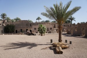 The image shows an ancient, desert-like courtyard with a few palm trees. In the foreground, there is a large palm tree casting a shadow on the sandy ground. Surrounding the courtyard are old, stone buildings with arched doorways and windows. The sky is clear and blue, and there are more palm trees visible in the background. The overall scene gives a sense of a historical or archaeological site in a desert environment.