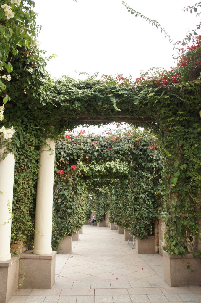 a walkway with vines and flowers