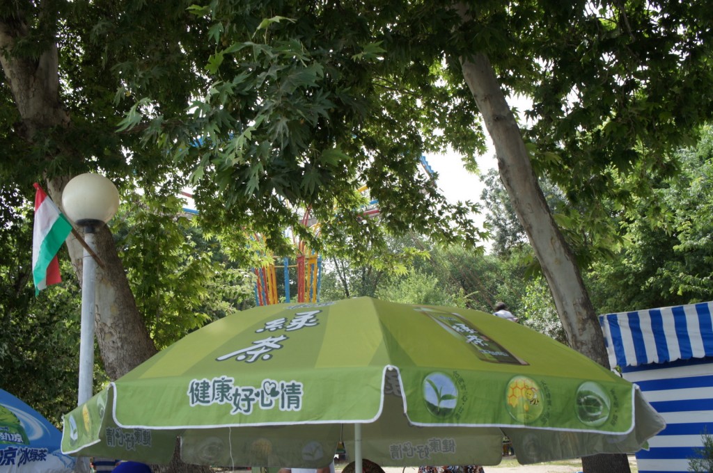 a green umbrella under a tree