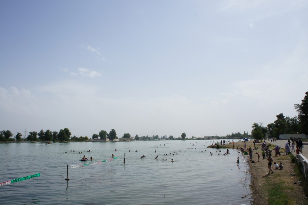 a group of people swimming in a body of water