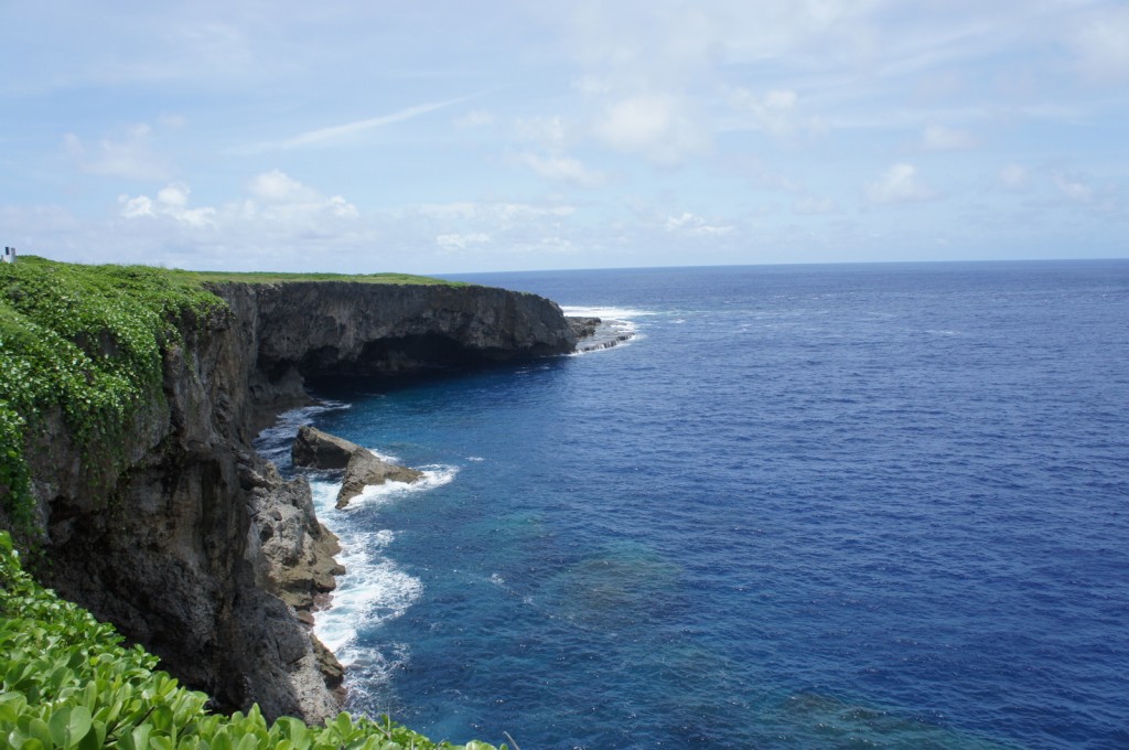 A scenic view of a coastal cliff with lush green vegetation on top, overlooking a deep blue ocean. The rocky cliffside extends into the water, with waves crashing against the rocks below. The sky above is partly cloudy with patches of blue.
