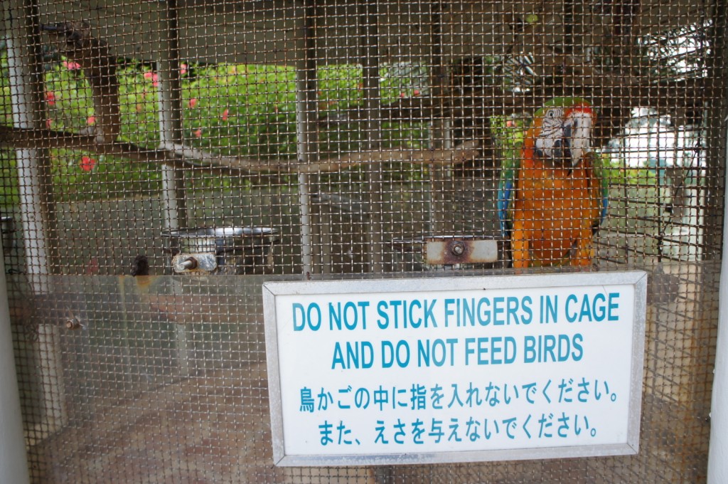 A colorful parrot is perched inside a wire mesh cage. There is a sign on the cage that reads, "DO NOT STICK FINGERS IN CAGE AND DO NOT FEED BIRDS," with the same message written below in Japanese. The background shows some greenery and flowers outside the cage.