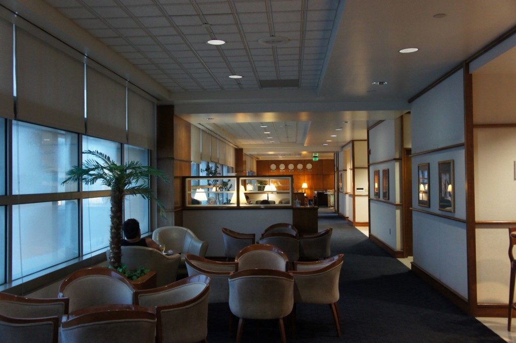 a room with a palm tree and chairs