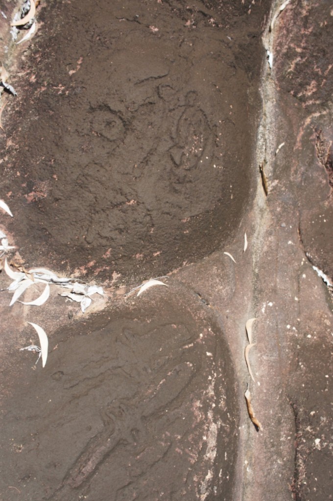 The image shows a section of a rock surface with ancient petroglyphs. The carvings appear to depict various shapes and figures, possibly including animals or symbolic designs. The rock surface is dark and weathered, with some light-colored leaves scattered around. The petroglyphs are faint but visible against the rough texture of the rock.