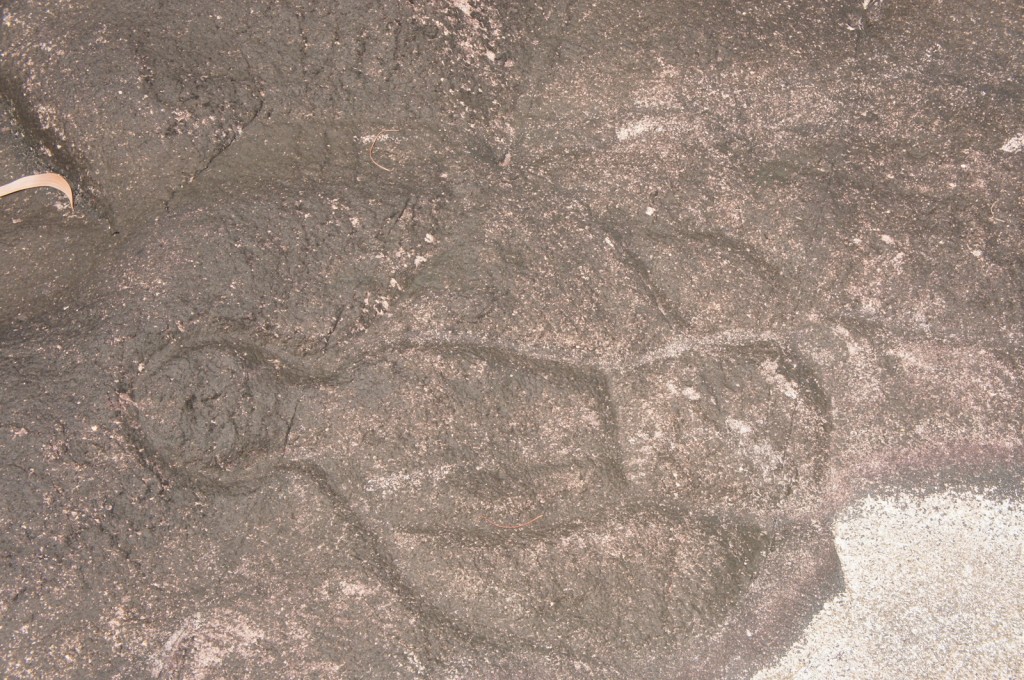 The image shows a rock surface with ancient petroglyphs carved into it. The carvings appear to depict abstract shapes and figures, possibly representing human or animal forms. The rock has a rough texture and is dark in color, with some lighter patches of wear or erosion. There is also a small piece of dried vegetation on the left side of the image.