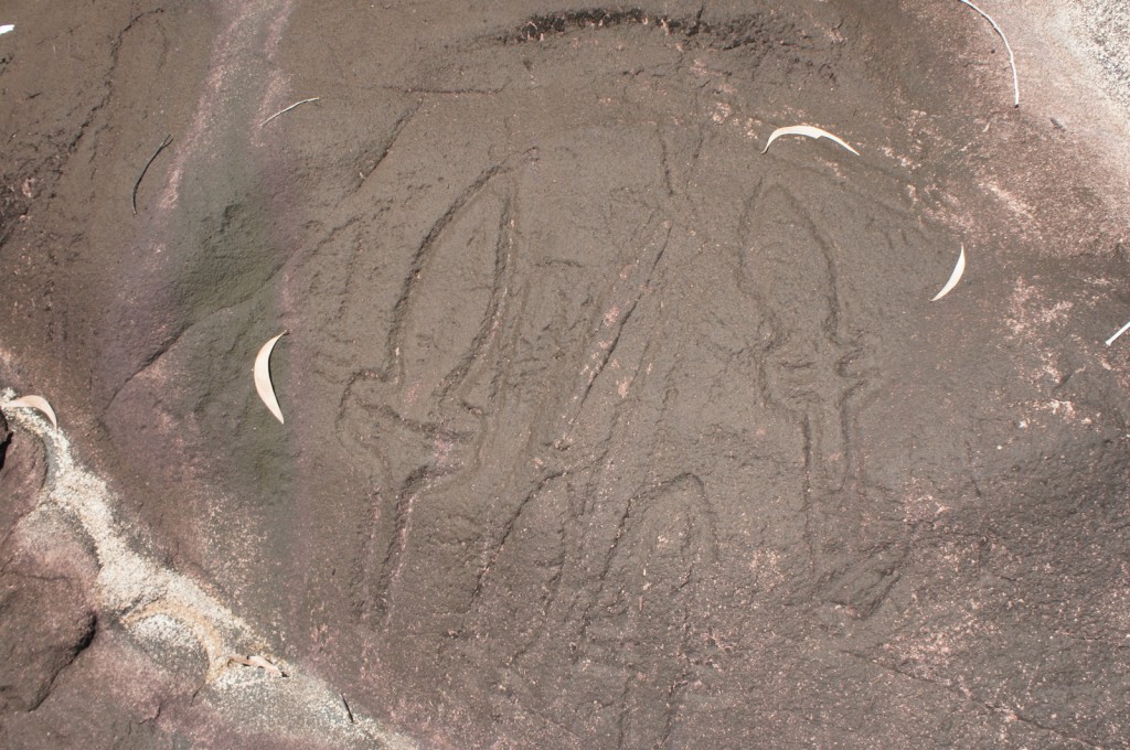 The image shows a rock surface with petroglyphs, which are ancient carvings or engravings. The carvings depict two figures holding what appear to be tools or weapons. The rock surface is dark and uneven, with some lighter patches and a few scattered leaves. The petroglyphs are faint but visible, showing the outlines of the figures and their objects.