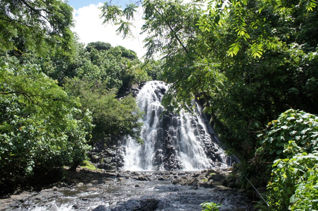 The image shows a waterfall cascading down a rocky cliff surrounded by lush green foliage. The water flows into a stream at the base of the waterfall, and the scene is set against a backdrop of dense trees and vegetation. The sky is partly visible through the tree canopy, indicating a bright, sunny day.