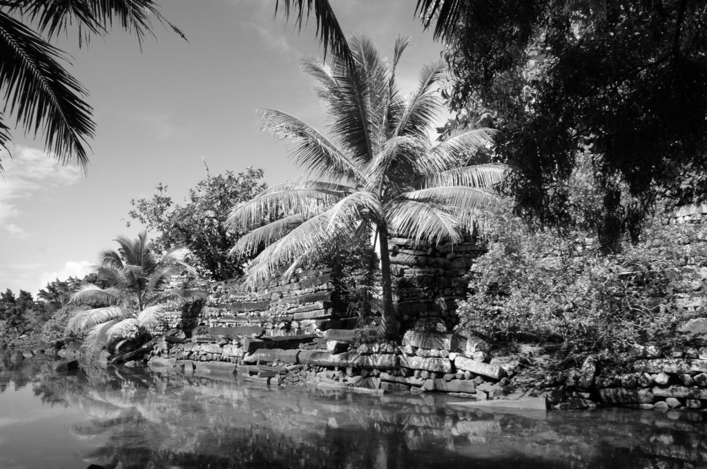 A black and white image of a tropical scene featuring a stone structure partially covered by lush vegetation. Palm trees are prominently visible, with their fronds extending over the stone structure. The structure appears to be ancient or in ruins, with stones stacked in a somewhat irregular pattern. In the foreground, there is a body of water reflecting the trees and structure, adding to the serene and natural atmosphere of the scene.