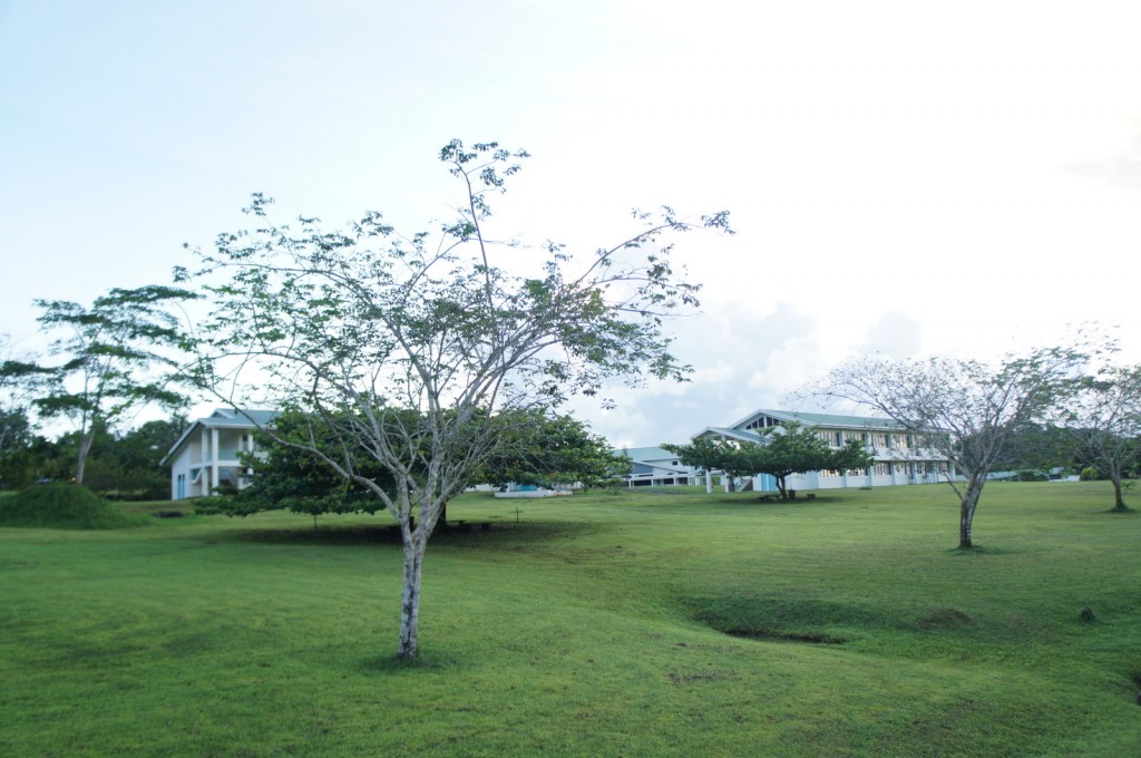 A large grassy field with a few scattered trees. In the background, there are two buildings with white walls and green roofs. The sky is clear with some clouds, and the overall scene appears to be calm and serene.