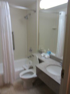 a bathroom with a shower and toilet
