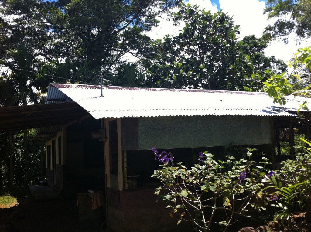 The image shows a small, rustic house with a corrugated metal roof situated in a lush, green environment. The house is surrounded by various trees and plants, including some with purple flowers in the foreground. The area appears to be shaded by the tall trees, and the sky is partly cloudy with patches of blue visible. The house has an open, airy design with some parts of the structure appearing to be made of wood and other materials.