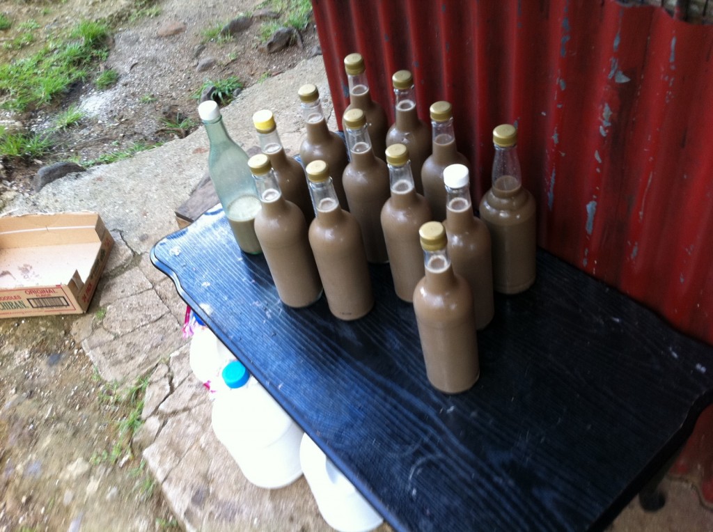 The image shows a black table with several bottles filled with a brown liquid. The bottles have various types of caps, including yellow and white ones. There is a green bottle among them that appears to contain a different liquid. The table is situated outdoors next to a red corrugated metal wall. On the ground beside the table, there is an open cardboard box and some white plastic containers. The surrounding area has patches of grass and dirt.