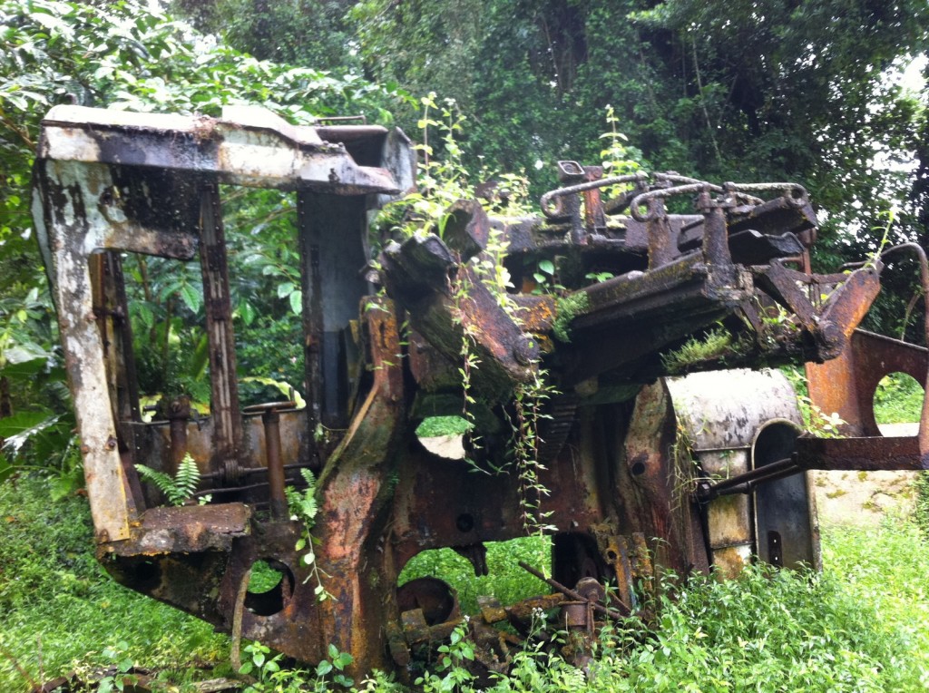 The image shows an old, rusted piece of heavy machinery that has been abandoned in a lush, green forest. The machinery is overgrown with plants and vines, indicating it has been left unused for a long time. The surrounding area is dense with vegetation, including trees and various plants. The machinery appears to be deteriorating, with visible rust and decay.