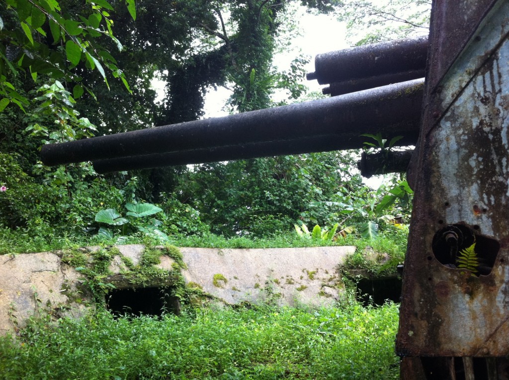 The image shows an old, rusted artillery gun surrounded by dense, overgrown vegetation. The gun appears to be part of an abandoned military installation, with moss and plants growing on and around it. The background is filled with lush green foliage, indicating a tropical or forested environment. The scene gives a sense of nature reclaiming a man-made structure.