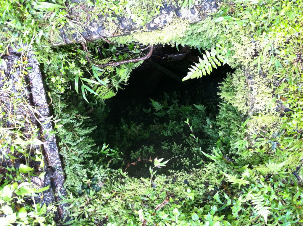 The image shows an overgrown, moss-covered opening in the ground, possibly a well or a manhole. The edges of the opening are surrounded by lush green vegetation, including ferns and other small plants. The interior of the opening is dark, with some greenery visible inside. The overall scene gives a sense of nature reclaiming a man-made structure.
