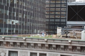 a man standing on a roof