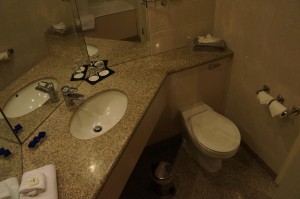 a bathroom with a sink and toilet