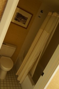a bathroom with a white shower curtain