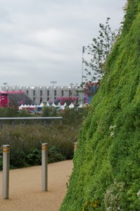 a green bush next to a building
