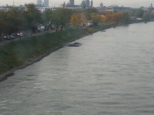 a river with trees and buildings in the background