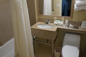 a bathroom with a sink and a toilet