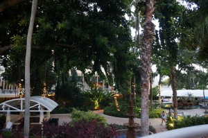 a view of a courtyard with trees and a walkway
