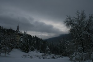 a snowy landscape with trees and a building