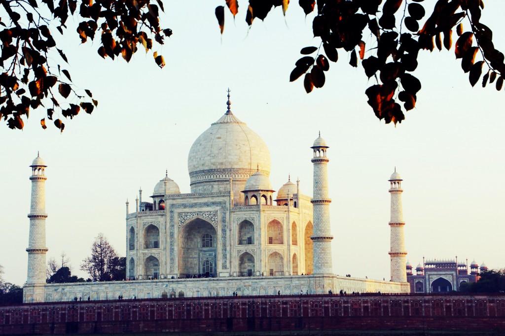 The image shows the Taj Mahal, a famous white marble mausoleum located in Agra, India. The structure features a large central dome flanked by four minarets, with intricate architectural details and patterns. The foreground includes branches and leaves, framing the view of the monument. The sky is clear, and the lighting suggests it is either early morning or late afternoon.