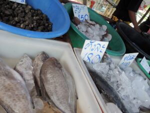 a group of fish in ice and a bowl of ice