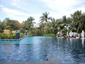a pool with palm trees and a blue sky
