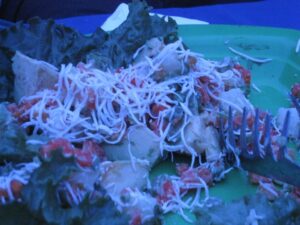 a plate of food with a fork